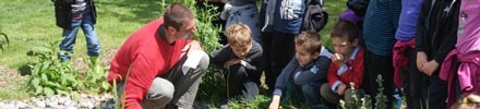 Animations nature avec des enfants sur le thème de la mare