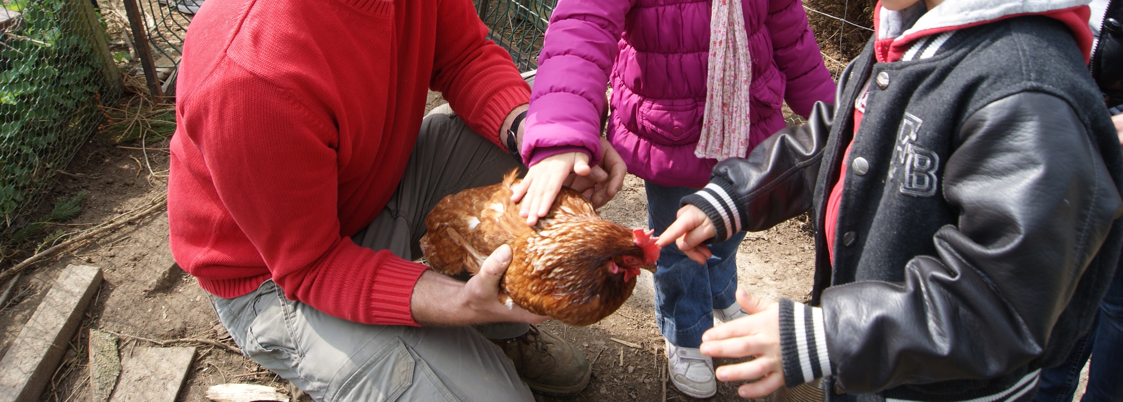 Animations nature à la ferme